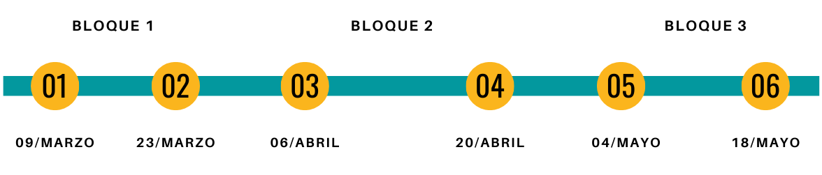 timeline del curso